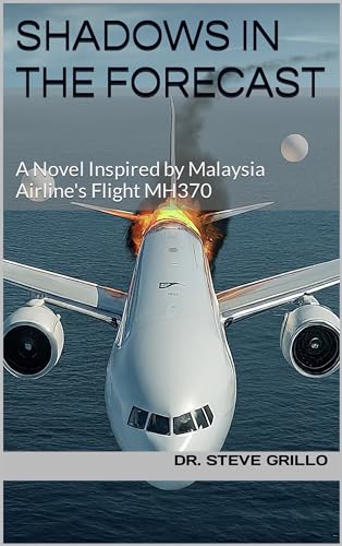 Shadows in the Forecast: A Novel Inspired by Malaysia Airline's F...