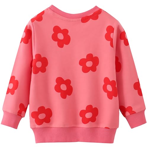 Image of AIWUHE Toddler Cotton Sweatshirt Boys Girls Pullover Long Sleeve Tops 2-6Y | Tops Blouse, Cotton T-Shirt, Fall Winter Clothes