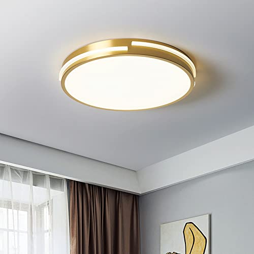 Bu Qi - US Plafon Techo, Lámpara de Techo LED, lámpara de Techo Redonda Ultrafina Minimalista Moderna for el Dormitorio, Sala de Estar, Cocina, Accesorios de iluminación, Pantalla acrílica(30cm)