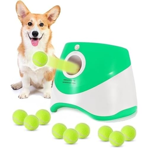 Queeninget{[`[A3̋ݒi3m / 6m / 9mj mߋAXgXA^\͌Am\PA^ƒ^ɓKĂAƉOŎgpł܂B (,9̃{[)