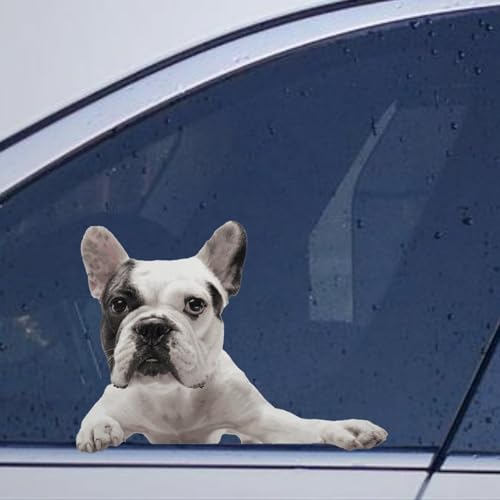 Image of French Bulldog Car Window Stickers French Bulldog Car Decal Animal Pet Window Decal Vinyl Car Stickers Decal Funny Bumper Stickers for Laptop Gift to Dog Lover