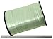 Produktbild Bastglanzband Standard silber