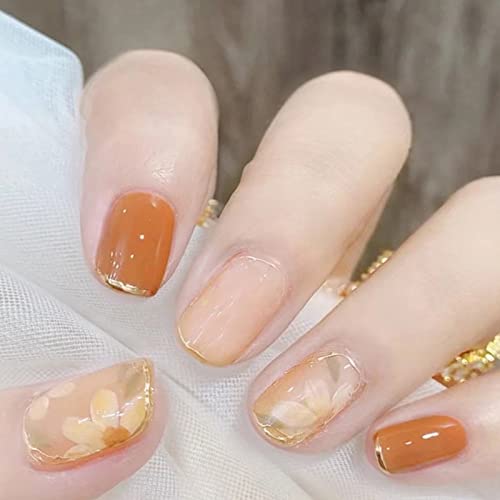 HAPVITAL 24 lC`bv Z @[ŖtẴgh  3D \邾ȒP JԂg  lCfUC U WFlC lCV[  lCA[g lCp[c S l (IW̉, V[g