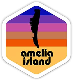Squiddy Amelia Island - Vinyl Sticker Decal for Phone, Laptop, Water Bottle (2.5" high)