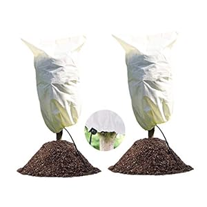 LINSOCLE 2 stuks Plant Fleece Vorstbescherming Cover, 100cm x 80 cm Beschermhoes voor Planten, Winter Tuin Fleece…