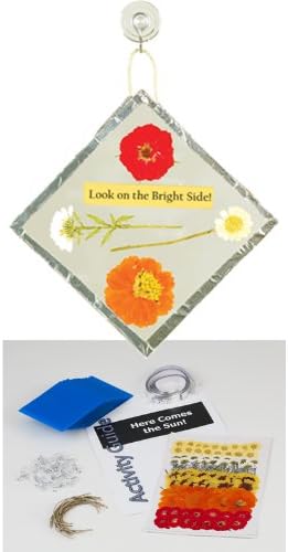 Here Comes The Suncatcher Craft Kit (Makes 100 Projects)