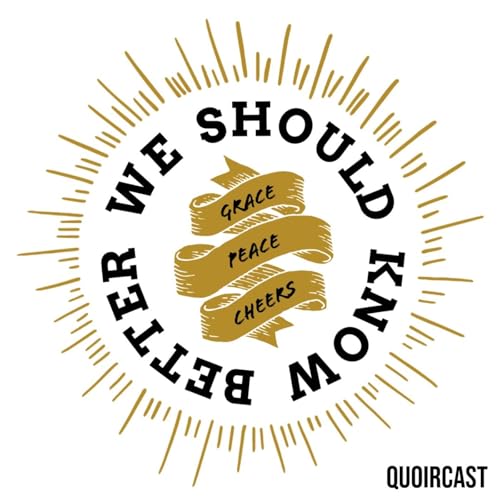 We Should Know Better (fka Bros, Bibles & Beer) cover art