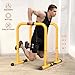 RELIFE REBUILD YOUR LIFE Dip Bars & Dip Station Functional Heavy Duty Dip Stands Fitness Workout Dip bar Station Stabilizer Parallette Push Up Stand (Yellow)
