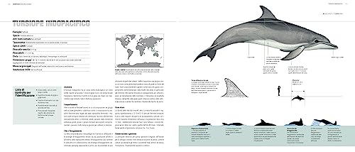 Balene, Delfini E Focene. Storia Naturale E Guida Alle Specie - 5