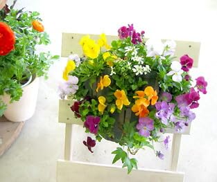 rĨnMOoXPbg 񂹐A [Chbv] MTCY Vv|  t[Mtg a v[g     Vzj ij ސEj t ~ A  K[fjO t[ oXPbg O Mtg A