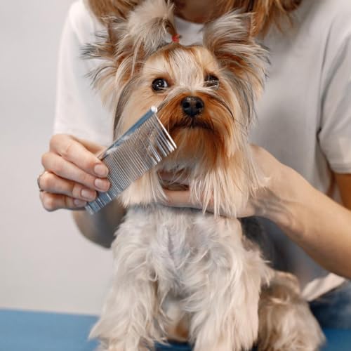 3 Stück Edelstahl Hundekamm Hunde Kamm Zur Fellpflege Tierkamm Für Katzen Hundekämme Stahlkamm Zur Hundepflege Feinzahniger Kamm Katzenkamm Für Verfilztes Haar Metallkamm Für Haustiere(19cm)