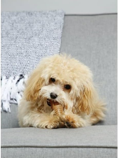(2 Pack) Drumstick Dog Chew Toy, Chicken Flavored, Nylon, Extra Small, Dental Benefits, Easy to Grip Shape