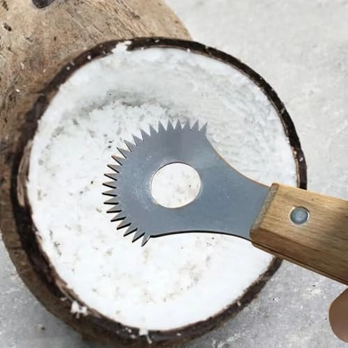 Ustensile pour noix de coco et desserts faits maison avec manche en bois