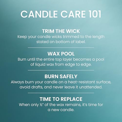 Yankee Candle Large Jar Scented Candle with up to 150 Hour Burn Time, Premium Plant Wax Blend for Consistent Burn, 22 oz Jar Candle with Room Filling Fragrance, Tree Farm Festival