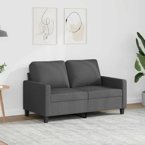 Yisssmeng Dark Gray 2-Seater Sofa, 54.3"x54.3"x31.5" Compact Fabric Loveseat with