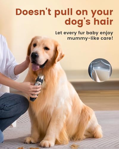 ELLEVE Clipper - Image 5 of 9