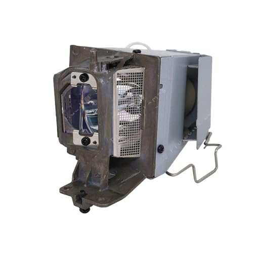 Lampe de remplacement NP40LP ampoule avec boîtier projecteur NEC VE303 VE303X VE303G