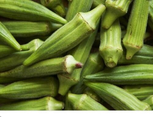 Buy4seeds 10 Seeds Green Okra Vegetable Seeds Easy to Grow