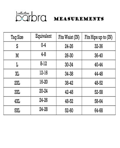 Barbra Lingerie Women’s Travel Pocket Underwear Girdle Brief Panties S-5Xl (Xl, 2 Pack) #TOP2