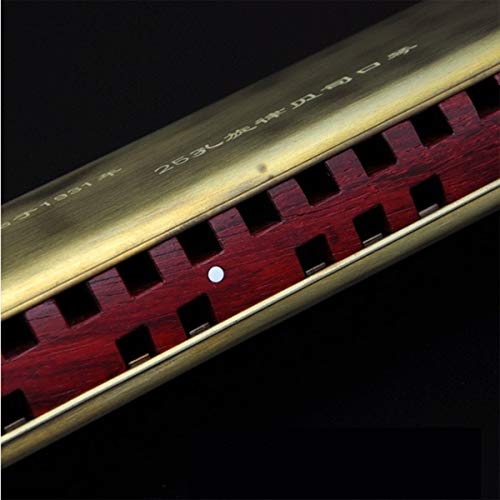 KMDSM Harmonica, Harmonica Basse 25 trous, Convient for Band Ensemble, Adulte Lecture professionnelle Mélodie Basse… - Les Beatles, Paul McCartney, John Lennon, RIngo Starr, George Harrison KMDSM Harmonica, Harmonica Basse 25 trous, Convient for Band Ensemble, Adulte Lecture professionnelle Mélodie Basse… – Image 7