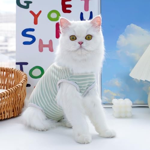 Katzenbody nach OP, Professioneller Erholungsanzug für Katzen nach Operationen, Postoperative Katzenkleidung für Bauchwunden, Anti-Leck-Anzug nach Kastration, Alternative zum E-Halsband (Grün, M)