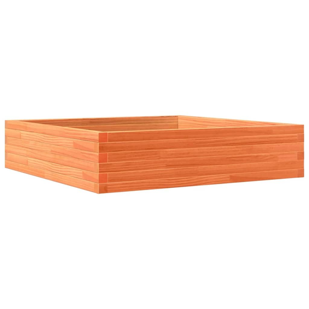 Jardinière carrée en bois de pin massif 100x100x23 cm pour un grand espace potager de style marron