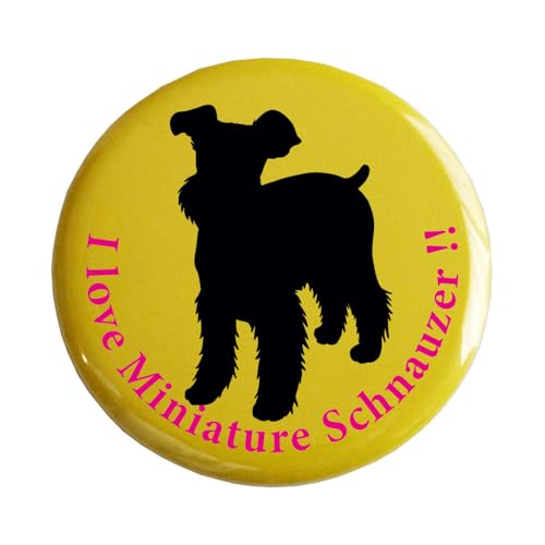 ~j`AEViEU[ʃobWyybg  킢 v[gz (D)