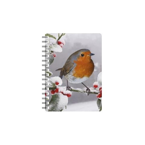 Faithful Friends ROBIN IN SNOW WITH BERRIES 3D NOTEBOOK WITH STUNNING EFFECTIVE COVER AND RULED PAGES Cover