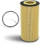 FLYPIG Engine Oil Filter for Powerstroke Diesel Motorcraft Ford F-250 Super Duty 6.0L DIESEL 2003-2007, F-350 Super Duty 6.0L DIESEL 2003-2007, F-250 Super Duty 6.4L DIESEL 2008-2010 FL2016