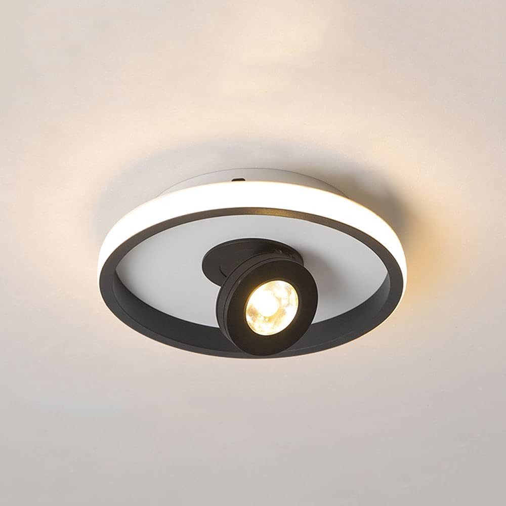 Spot de plafond pour galerie d'art et dressing, spot directionnel noir pour éclairage architectural