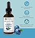 Pure Inventions - Blueberry & White Tea Water Infusion Drops - Antioxidants & Electrolytes - Health & Wellness Drink - Immunity Support -Sugar Free, Zero Calorie, No Artificial Sweeteners -60 Servings