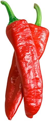 Premium Heirloom Aleppo Pepper 10 Seeds - Capsicum Annuum, Halaby Syrian Hot Chile Plant, Rare Jalapeno Very Unique Flavor, Organic Pepper Seeds for Planting
