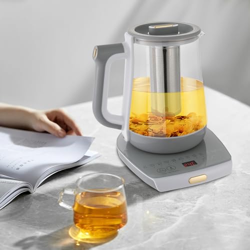 Hervidor eléctrico de vidrio con control digital y filtro de té miniatura 5
