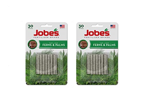 Jobe's Fertilizante en Espigas para Helechos y Palmas 2 Pack