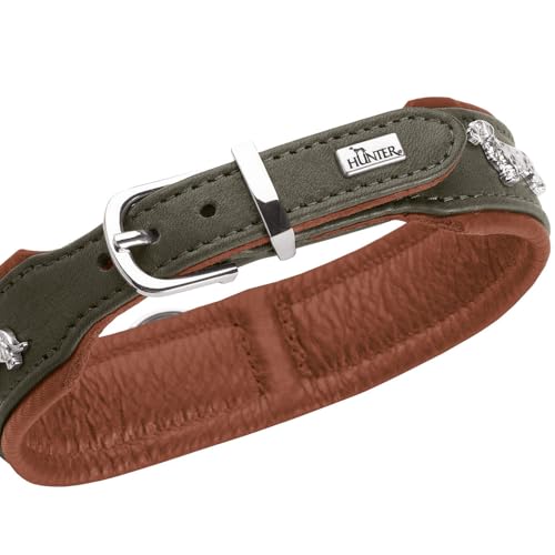 Hunter Teckel-Halsband MÜNCHEN, Farbe: Cognac/schwarz, Leder, edle Dackel-Besätze, weich und robust, fellschonend, luxuriös, ökologisch hergestellt, nachhaltig, Made in Germany, Größe: 37