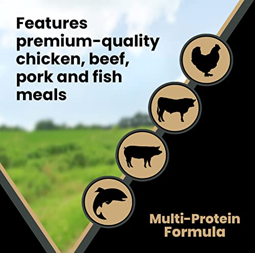Image of VICTOR Grain Free Ultra Pro Dry Dog Food - High Protein Dry Kibble, 5 lb