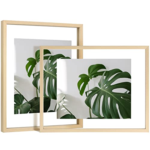 Exhibit Frame – The 16 best products compared - Product guide - The ...