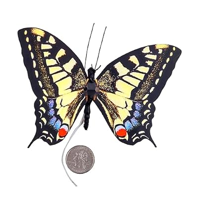 Moving Butterfly - Swallowtail
