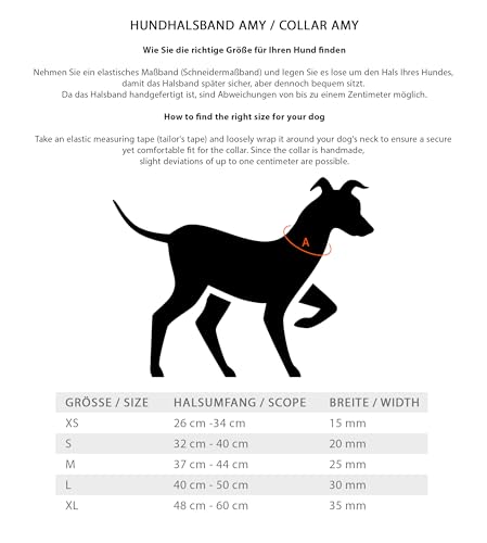 Jack & Russell Hundehalsband Leder Amy - Lederhalsband aus Echtleder - gepolstert & robust - Hunde Halsband doppellagig, kleine, mittelgrosse und große Hunde (L, Braun)