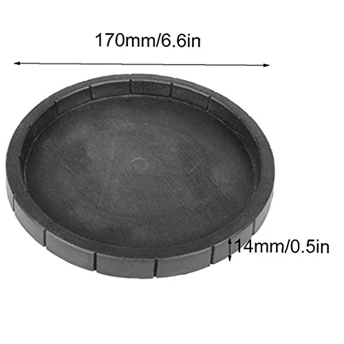 NIDONE Reptiel voeden Bowl,Terrarium schotel plaat Voeding Plaat Voedsel Water Schotel Bowl voor schildpad Hagedis… - Afbeelding 6