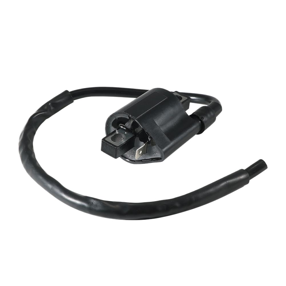 Bobine d'allumage Compatible With Suzuki LT-F160 LT160 LTF250