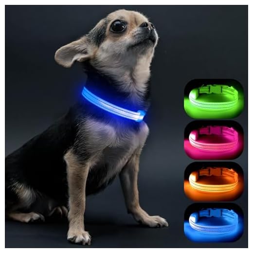 Visinite Collar Luminoso Perro, Collar Luz Perro para La Oscuridad, Nightcollares Luminosos para Perros Recargable a Prueba de Agua, Glow In The Dark Dog Light Up Collar para Caminar,Azul,S