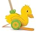 Wooden Wonders Push-n-Pull Waddling Duckling with Rubber Feet by Imagination Generation