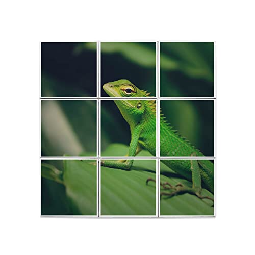 Carreaux céramique reptile Bronchocela pour sublimer votre salon avec une décoration d'Asie