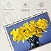 ElephantStock - All Yellow Daffodils Wall Art - Horizontal Canvas Wall Art - Living Room Wall Decor - Photography Floral And Botanical Canvas Art - Yellow And Green Decor - 45
