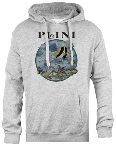 Photo de Plini Plini Sweat À Capuche Régulier Unisexe Gris Pull