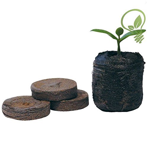Jiffy - Lote de 7 pellets de cultivo para plantas de jardinería (41 mm, 1000 unidades)