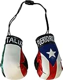 Puerto Rico and Italy - Mini Boxing Gloves