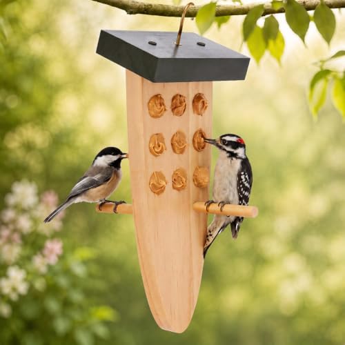 LemonRoad Cedar Peanut Butter Bird Feeder for Woodpeckers, Hanging
