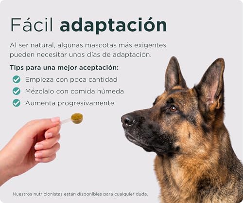 Miniatura 7 de Wolf Belly - Condroprotector Perros 100 Natural 180g Mejillón Verde Y Msm En Polvo Articulaciones Fuertes Antiinflamatorio Con Calcio Y Colágeno Fórmula Veterinaria - Hecho En España